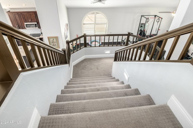 staircase featuring carpet and ceiling fan