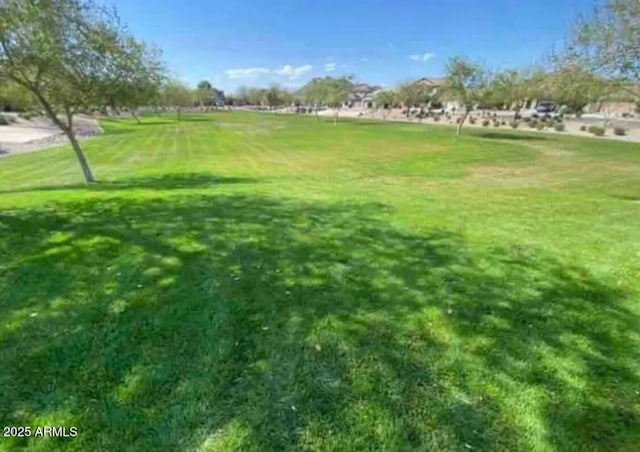 view of home's community with a lawn