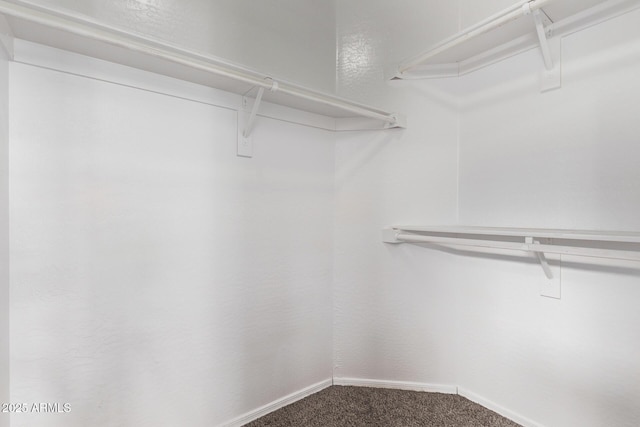 2250 E Deer Valley Rd Unit 26, Phoenix, AZ 85024 - spacious closet featuring carpet floors