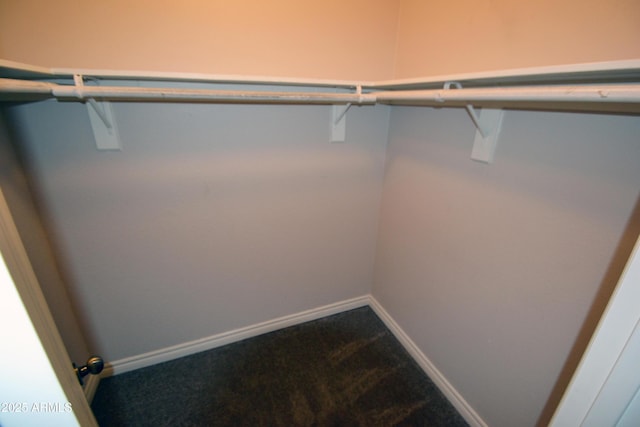 4120 N 78th St Unit 116, Scottsdale, AZ 85251 - walk in closet featuring carpet floors