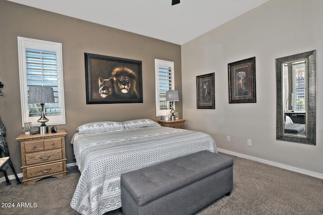 carpeted bedroom with multiple windows