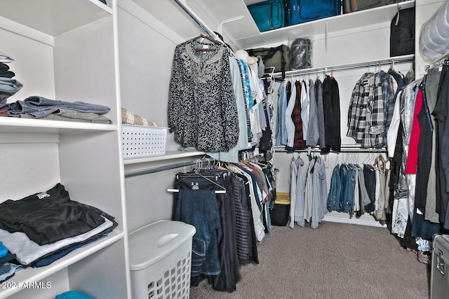 spacious closet with carpet floors