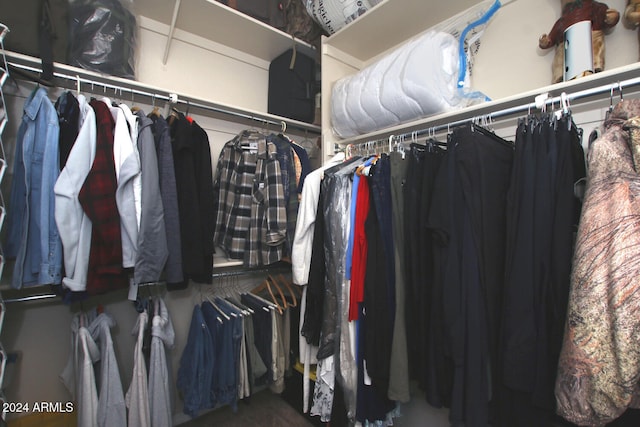 view of spacious closet