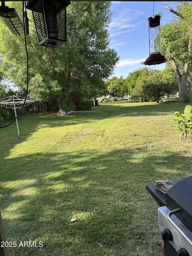 view of yard