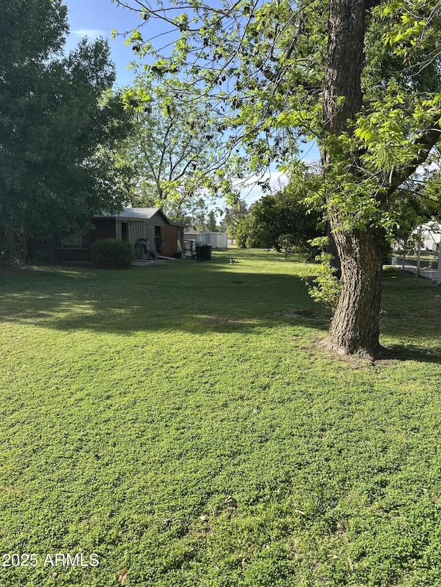 view of yard