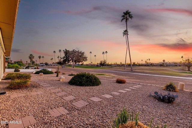 view of yard at dusk