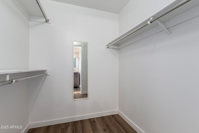 spacious closet featuring dark wood-style floors