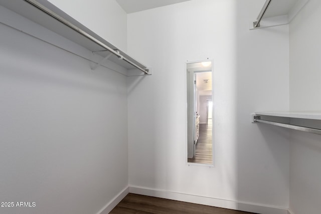 walk in closet featuring dark wood-style floors