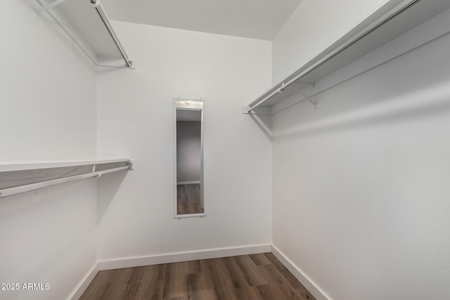 walk in closet featuring dark wood-style flooring