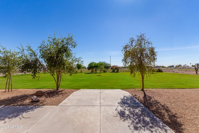 exterior space with a lawn