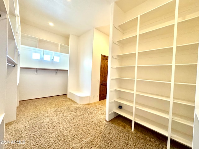 spacious closet with carpet floors