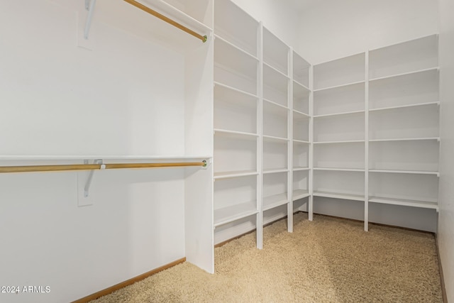 spacious closet with carpet