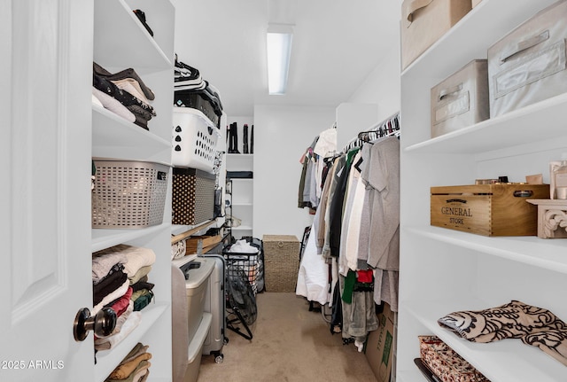 941 E Stirrup Ln, San Tan Valley, AZ 85143 - walk in closet featuring carpet floors