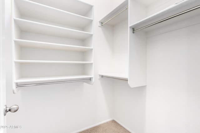 spacious closet with carpet flooring