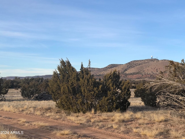 27787 W San Juan Ln Unit 455, Seligman AZ, 86337 land for sale