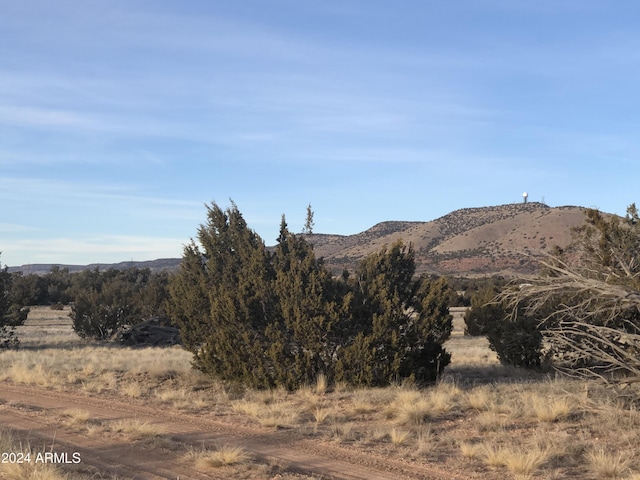 27787 W San Juan Ln Unit 455, Seligman AZ, 86337 land for sale