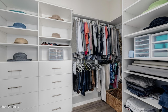 spacious closet with hardwood / wood-style flooring