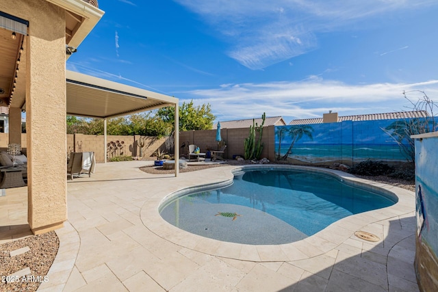 view of swimming pool with a patio