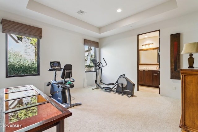 workout room with light colored carpet, plenty of natural light, and a raised ceiling