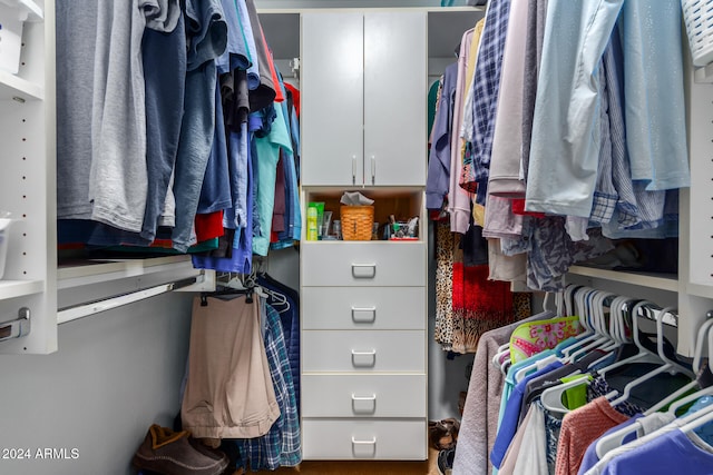 view of walk in closet