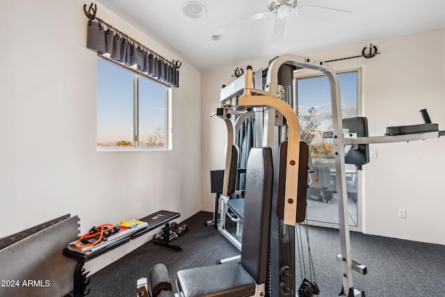 exercise area featuring ceiling fan