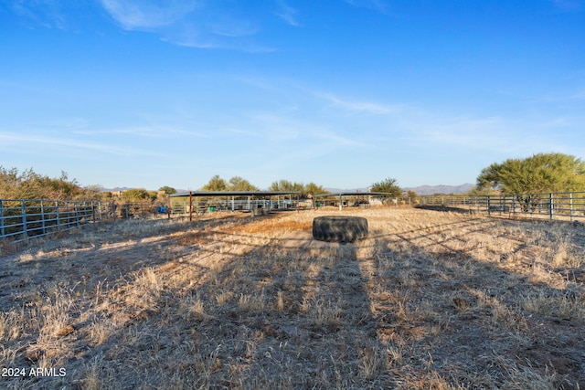 view of yard featuring a rural view