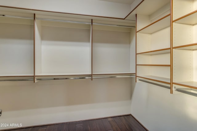 walk in closet with dark wood-type flooring