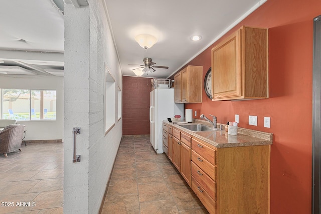 kitchen with sink, ceiling fan, and white fridge