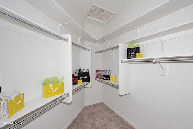 spacious closet with light colored carpet