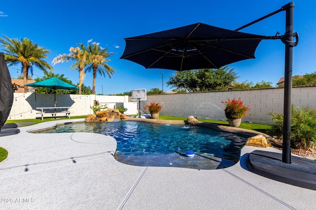 1429 E Lowell Ave, Gilbert, AZ 85295 - view of pool with a fenced backyard and a patio
