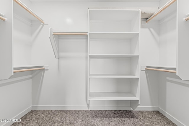 spacious closet featuring carpet