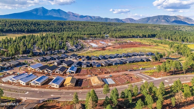 birds eye view of property featuring a mountain view and a view of trees