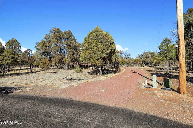 view of yard with a rural view