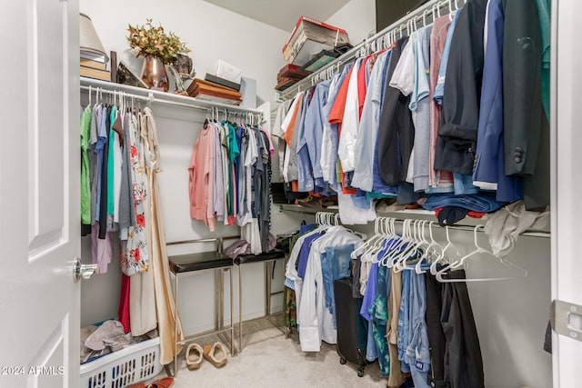 walk in closet featuring carpet