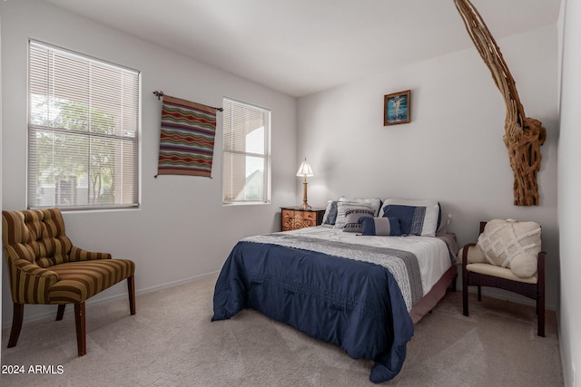 bedroom with carpet