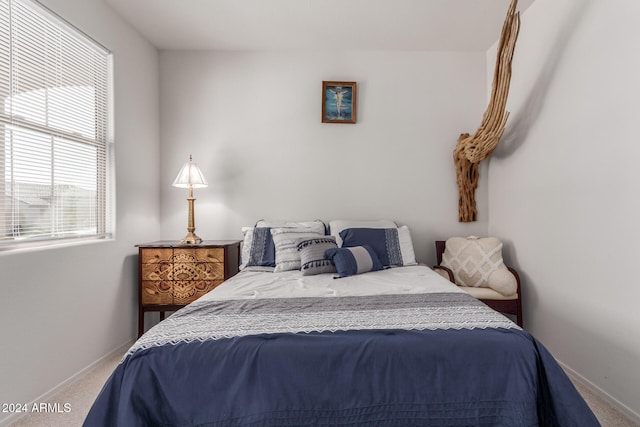 bedroom with carpet flooring