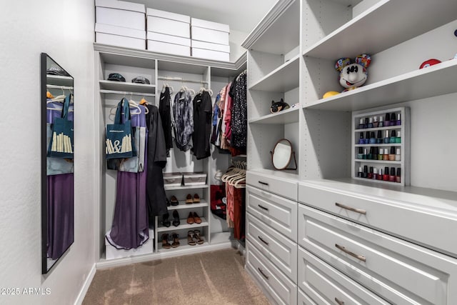 10221 E Wavelength Ave, Mesa, AZ 85212 - spacious closet with carpet flooring