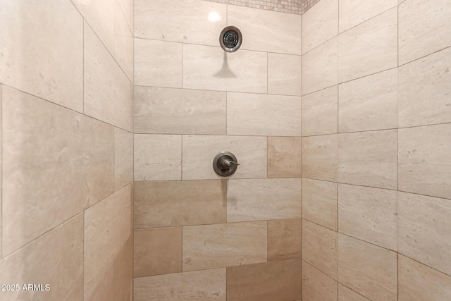 room details with tiled shower