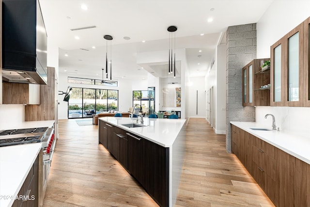 kitchen featuring pendant lighting, a kitchen island with sink, sink, and light hardwood / wood-style flooring