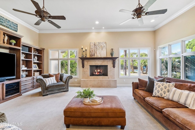 carpeted living room with a healthy amount of sunlight, crown molding, and a fireplace