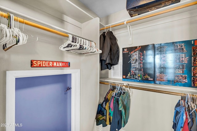 view of walk in closet
