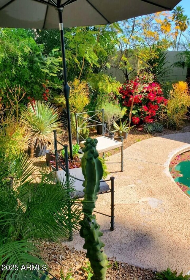 view of property's community featuring a patio and fence