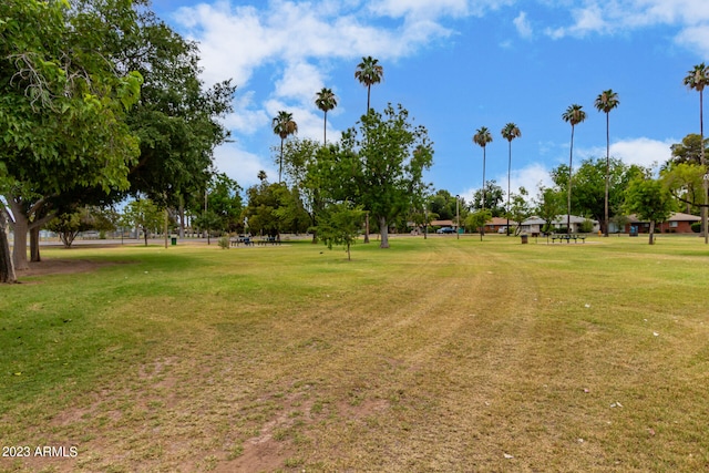 view of nearby features featuring a yard