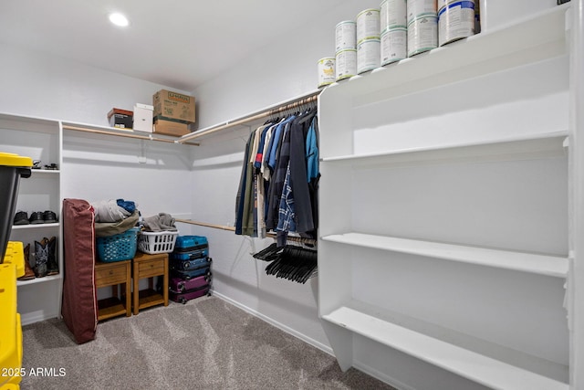 460 S Mountaine Pines Ave, Show Low, AZ 85901 - spacious closet with carpet