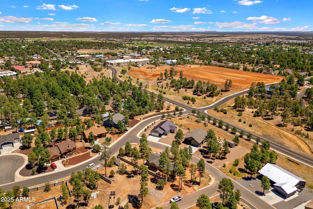 460 S Mountaine Pines Ave, Show Low, AZ 85901 - drone / aerial view