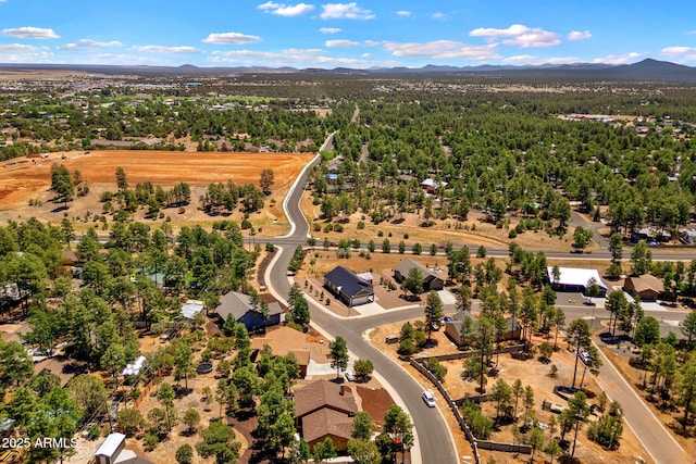 460 S Mountaine Pines Ave, Show Low, AZ 85901 - aerial view of mountains