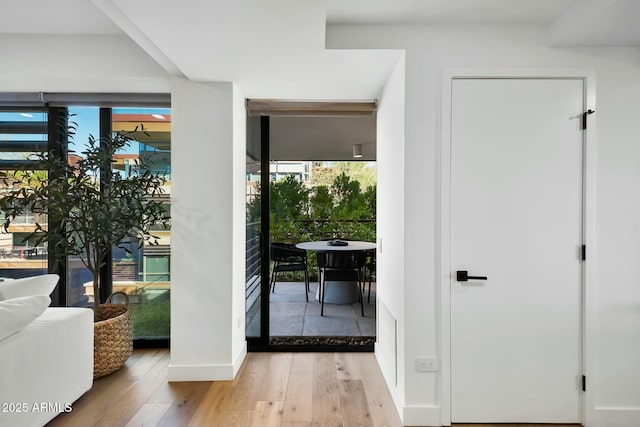 entryway with a wealth of natural light, baseboards, and hardwood / wood-style floors