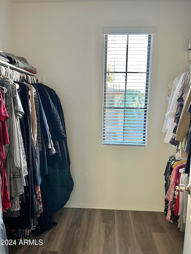 spacious closet featuring wood-type flooring