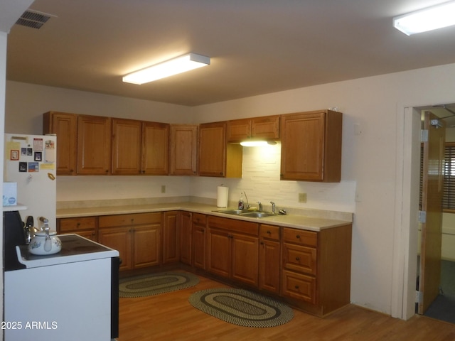 kitchen featuring white fridge, sink, stove, and light hardwood / wood-style flooring