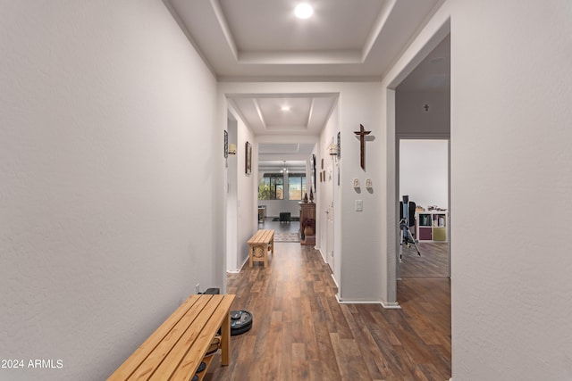 hall featuring dark wood-type flooring and a raised ceiling